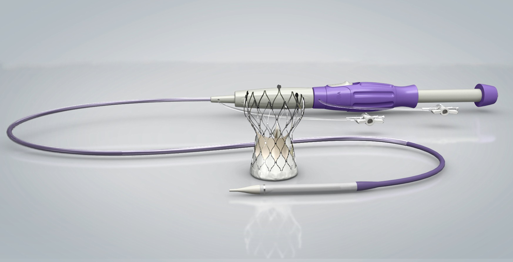 Peijia Medical’s TaurusOne® Transcatheter Aortic Valve Replacement System Approved for Commercializa