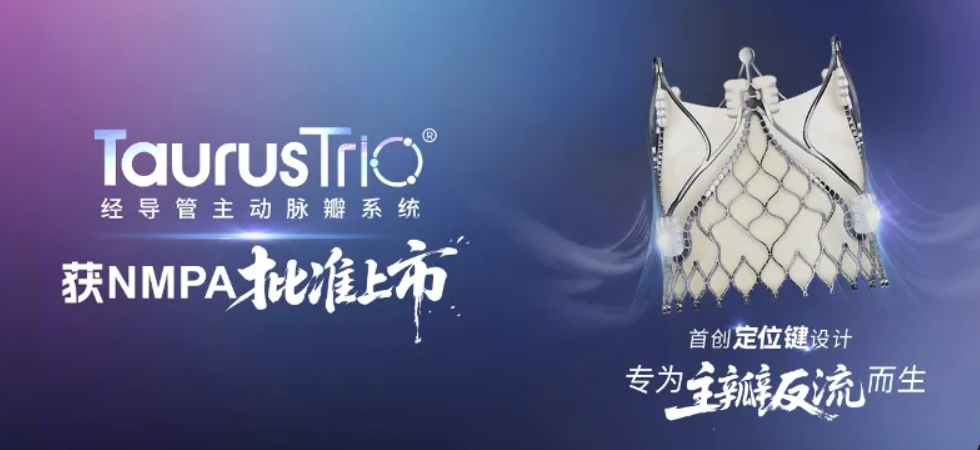 TaurusTrio经导管主动脉瓣系统获NMPA批准上市，重磅核心产品为瓣膜业务增长再添强劲引擎